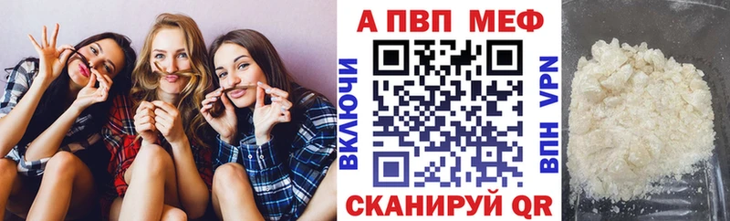 A PVP СК  Химки 