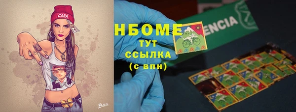 стаф Нефтегорск