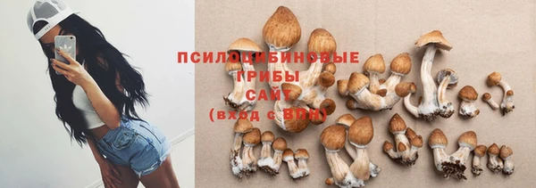 гидропоника Нефтекумск
