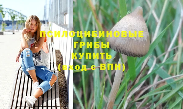 гидропоника Нефтекумск