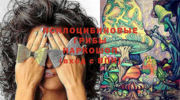 стаф Нефтегорск