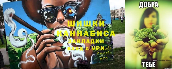 стаф Нефтегорск