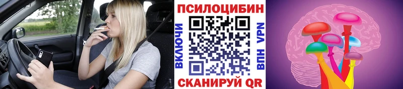 Галлюциногенные грибы Psilocybine cubensis  Химки 