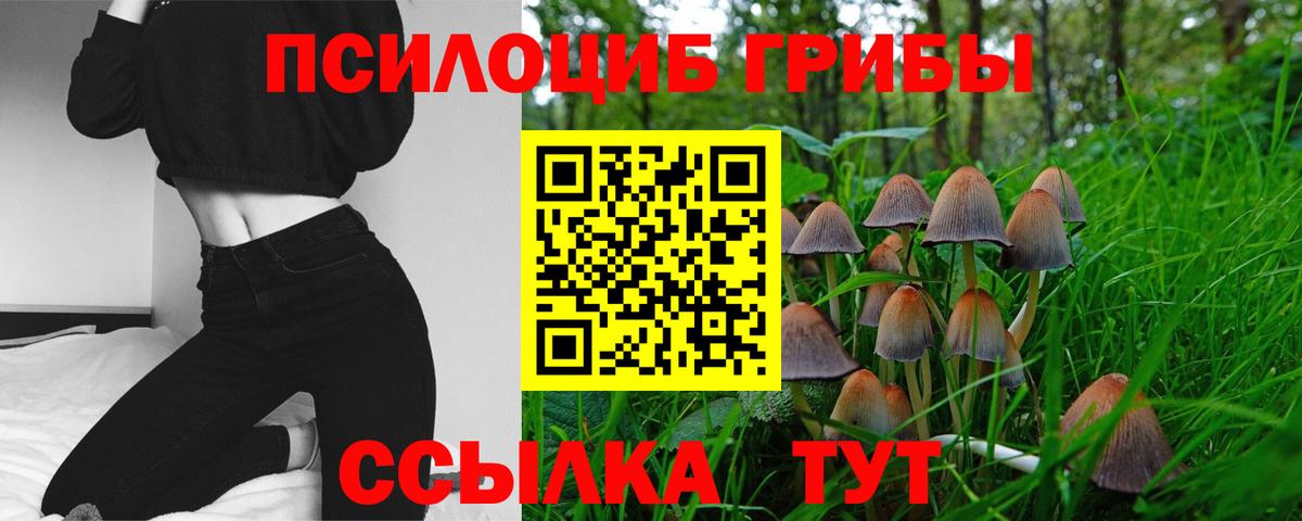 Химки  Псилоцибиновые грибы Psilocybe  Вход с VPN 