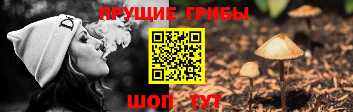 Галлюциногенные грибы мицелий Химки